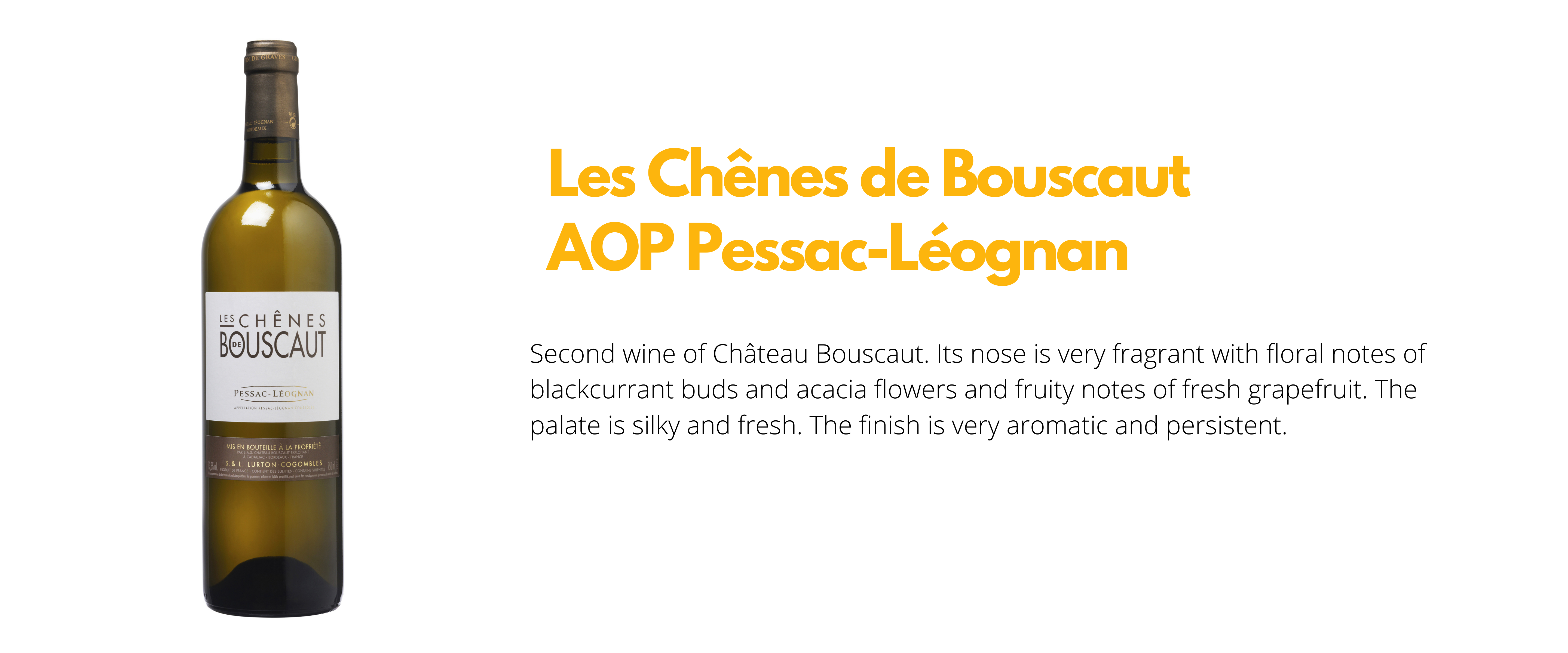 chenes de bouscaut blanc