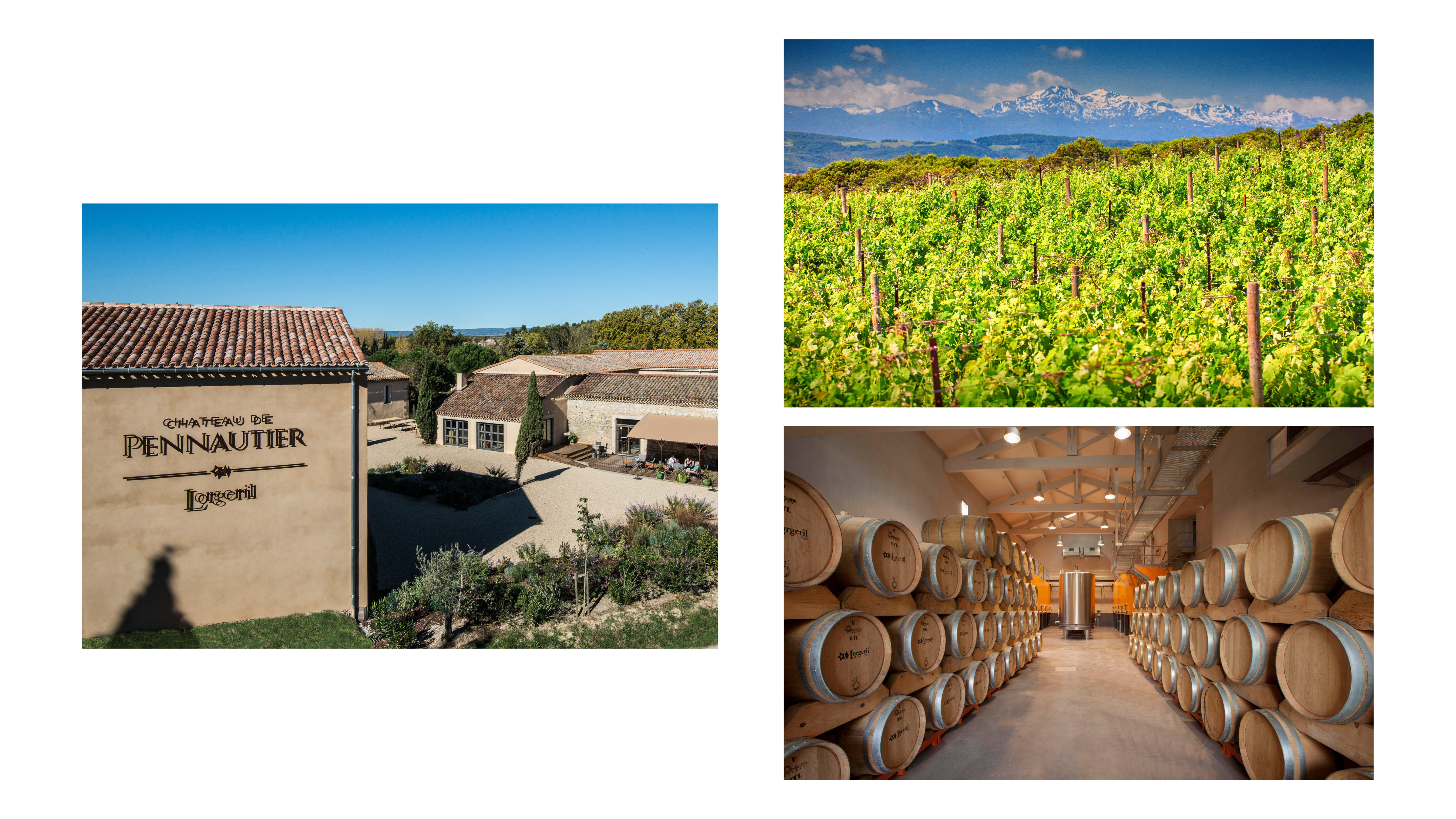 Château de Pennautier, un grand vignoble