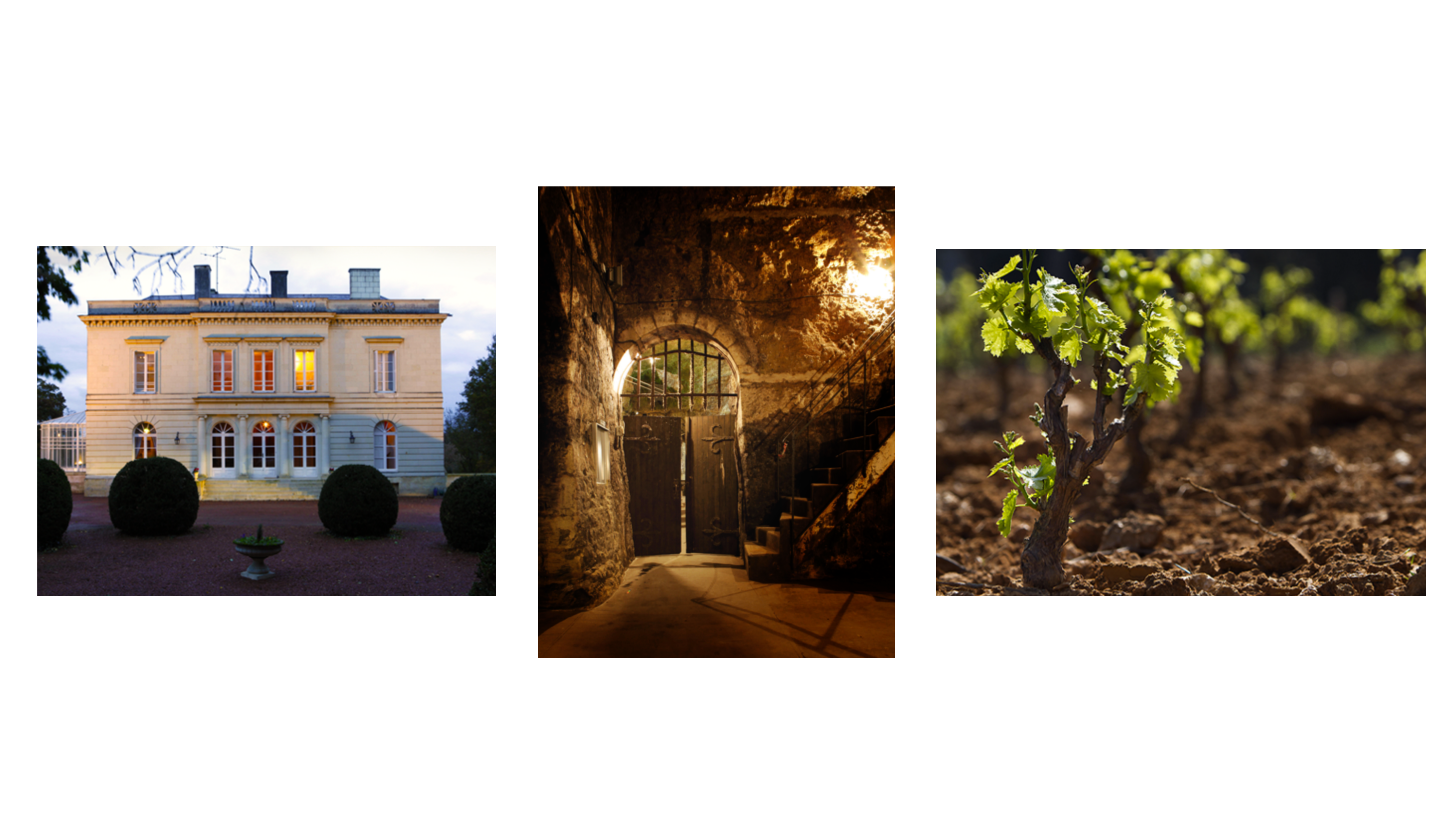 A la découverte de nos vignerons partenaires "La Maison Louis de Grenelle" CAVAVIN