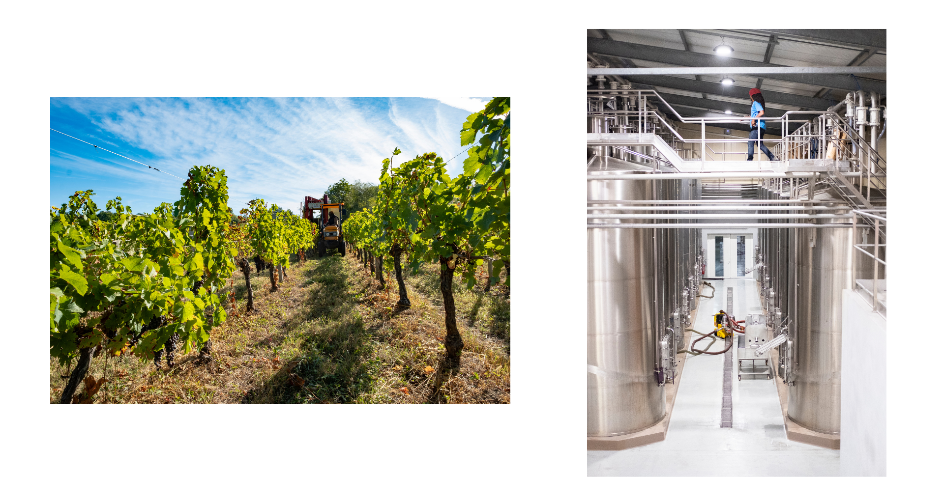 A la découvertes des vignerons de puisseguin saint emilion cavavin