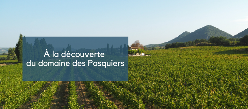 Discovering the Domaine des Pasquiers 