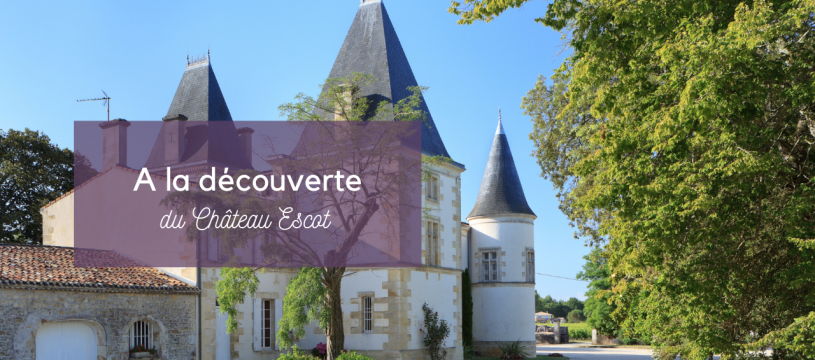 A la découverte du Château Escot 