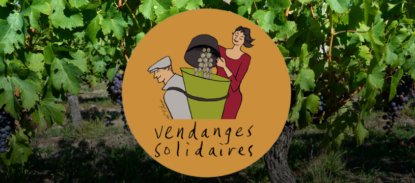 CAVAVIN renouvelle son engagement aux côtés de Vendanges Solidaires