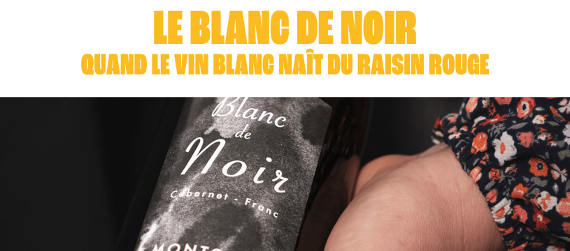 Le Blanc de Noirs : quand le vin blanc naît du raisin rouge