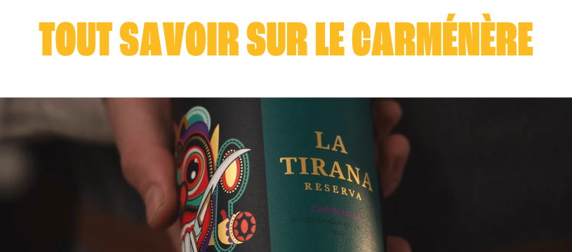 Le Carménère : un cépage bordelais devenu emblème du Chili