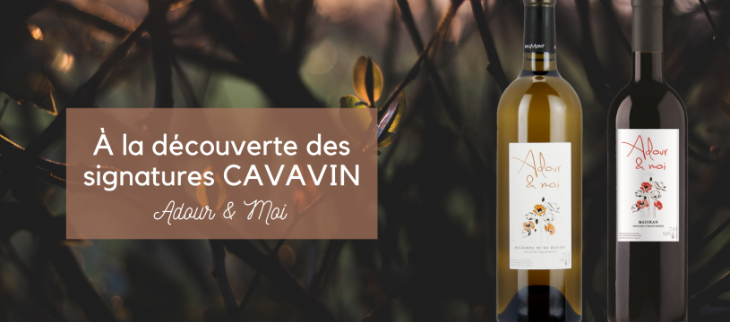 Discovering CAVAVIN signatures : Adour & Moi