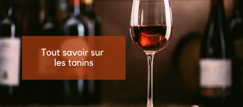 ALL ABOUT TANNINS