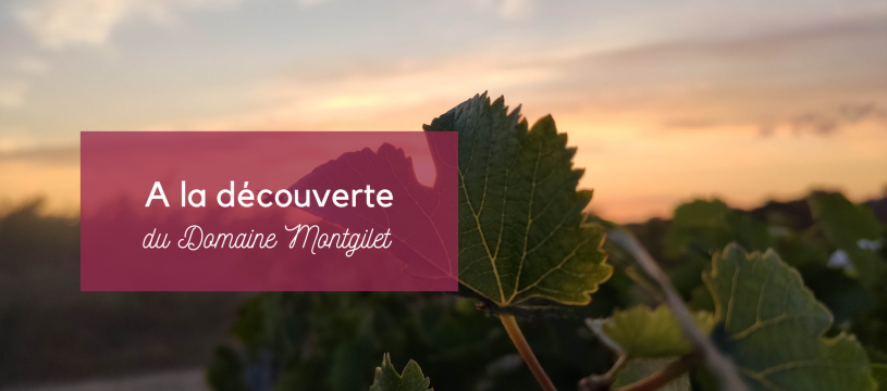 Discovering the Domaine Montgilet 